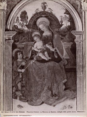 Alinari, Fratelli — Perugia - Pinacoteca Vannucci. La Madonna col Bambino, dettaglio della grande ancona. (Pinturicchio.) — particolare, tavola centrale